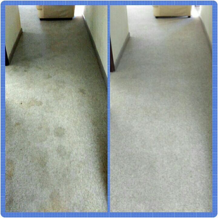 lavado de alfombras queretaro